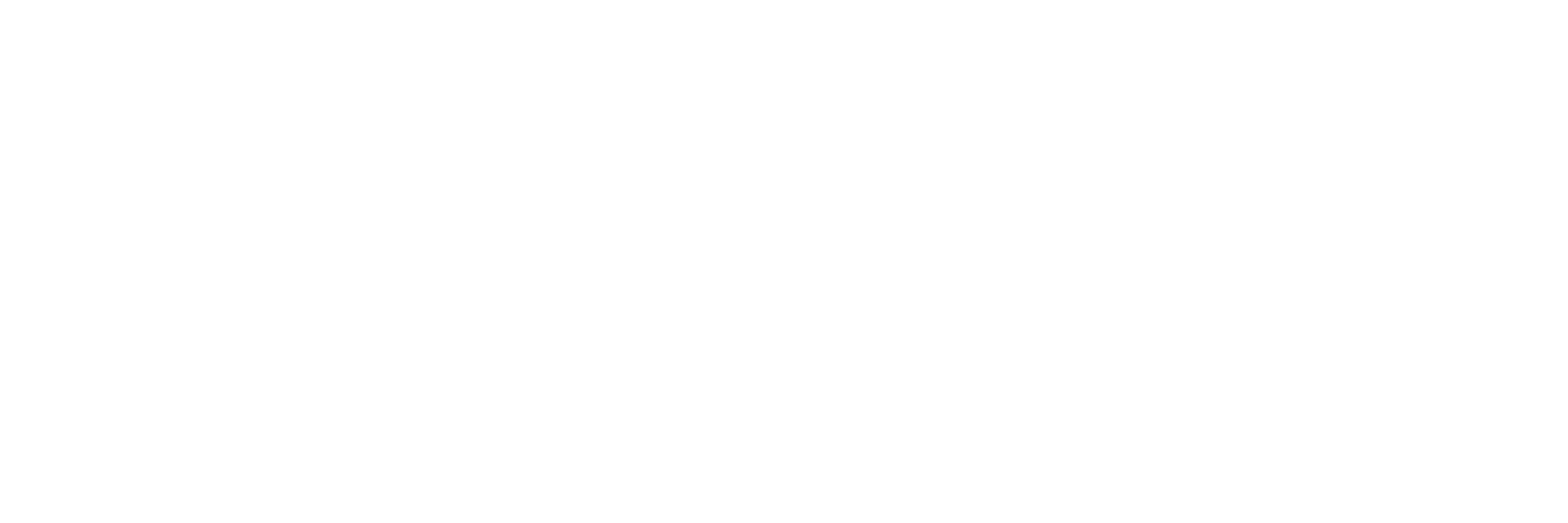 logo toyoura