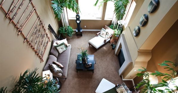 Những mẹo nhỏ để làm mới căn nhà của bạn dịp năm mới plants fill dead space 3 600x315 1